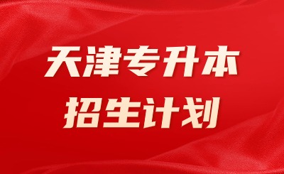天津?qū)Ｉ菊猩媱? width=