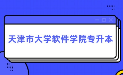 天津市大學軟件學院專升本